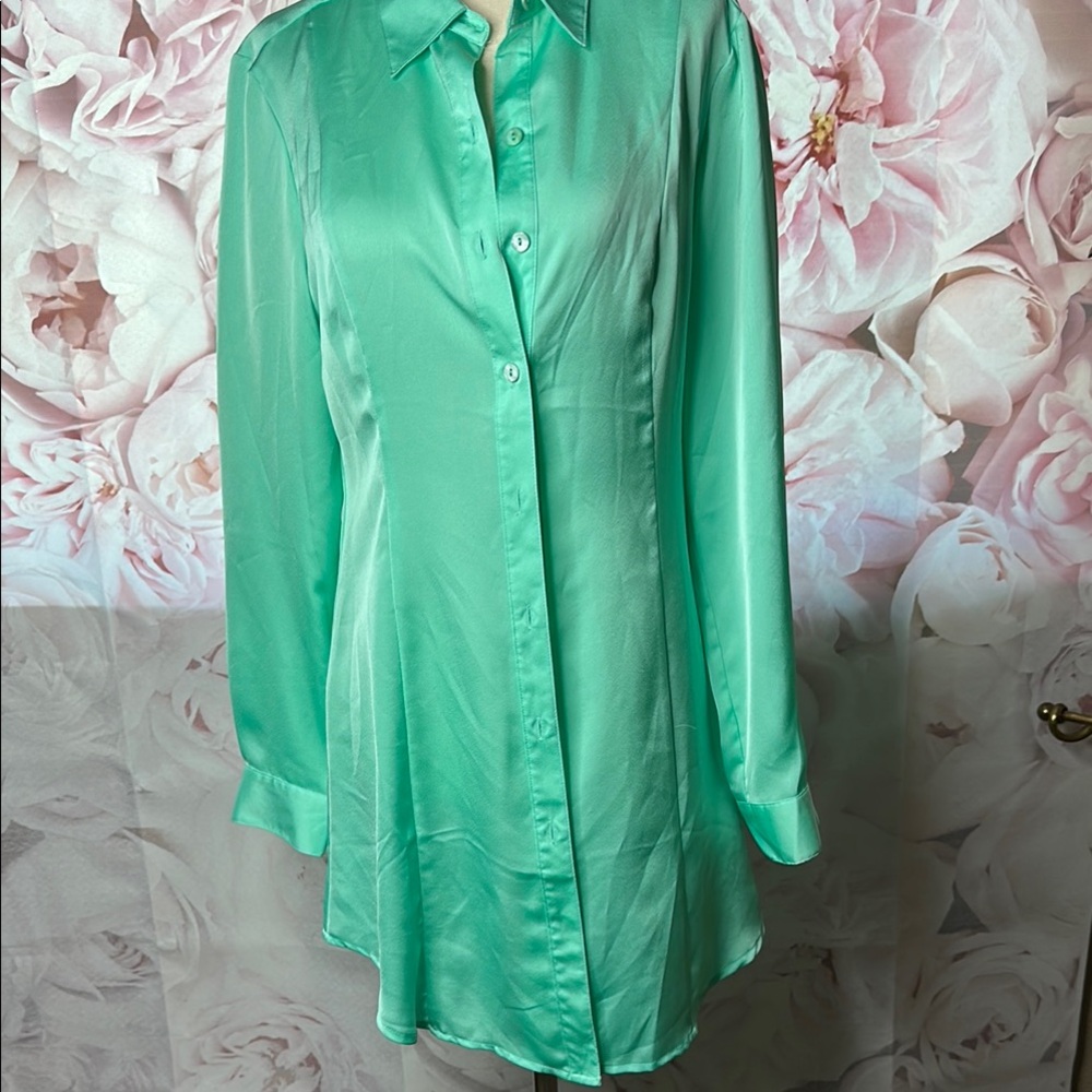 Tracy M Green Relaxed Button Down Shirt with Dress Collar